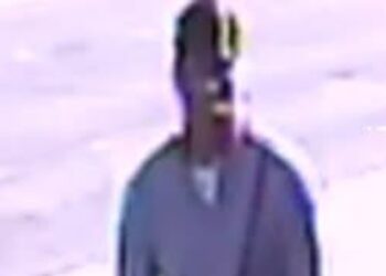 Manhunt for Swindon suspect after bicycle stolen in broad daylight