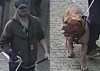 Police investigate mystery incident outside Poundland in Swindon