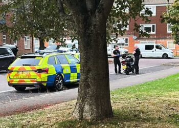 ‘Moped thief’ escapes police after pursuit through Chippenham park