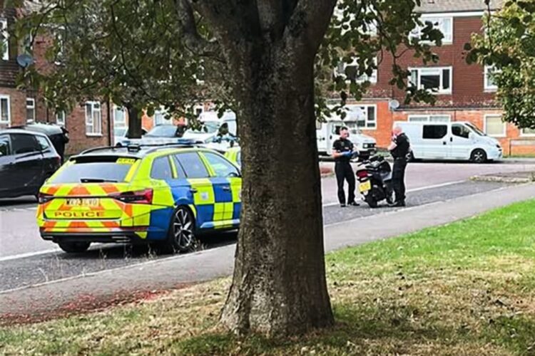 ‘Moped thief’ escapes police after pursuit through Chippenham park