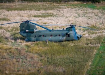 Lucky escape for Chinook crew after hitting bird over Chippenham