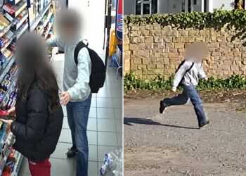 Wiltshire boy who stabbed teen girl and shopkeeper avoids prison