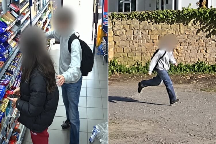 Wiltshire boy who stabbed teen girl and shopkeeper avoids prison