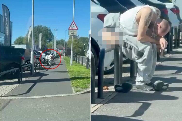 Man sent to prison after ‘explosive’ poo outside Audi dealership