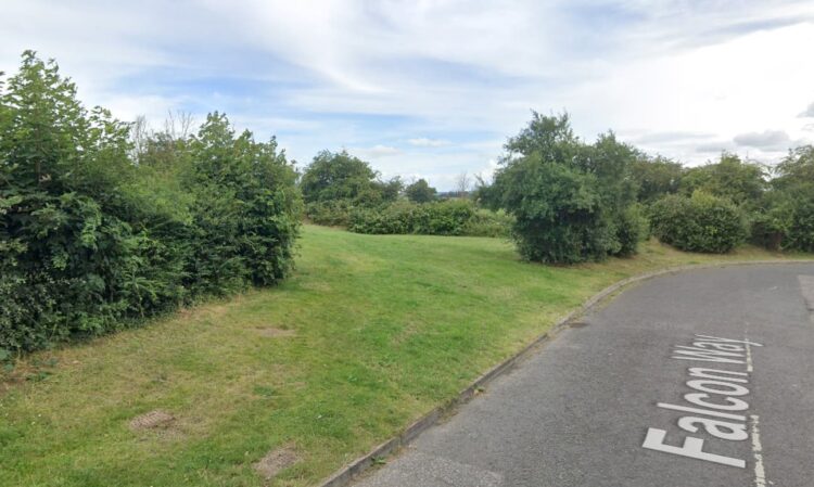 RSPCA update after reports of ‘decapitated dog’ found in Melksham