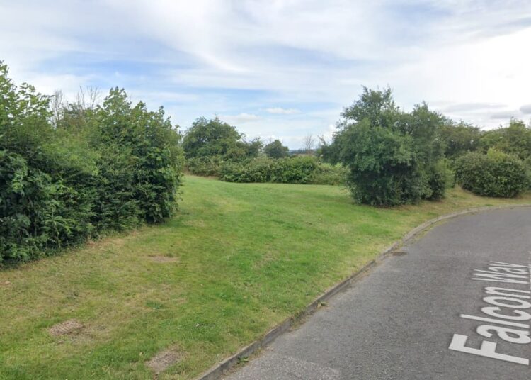 RSPCA update after reports of ‘decapitated dog’ found in Melksham