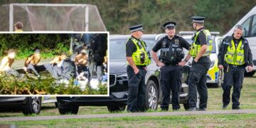 RAF Fairford suspects were ‘just thieves syphoning fuel’, sources