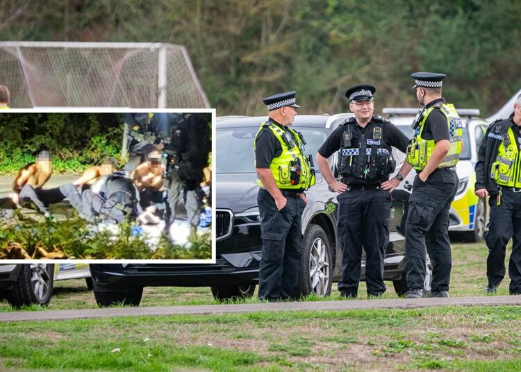 RAF Fairford suspects were ‘just thieves syphoning fuel’, sources