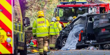 Van driver seriously injured after tree crash outside Wiltshire hotel