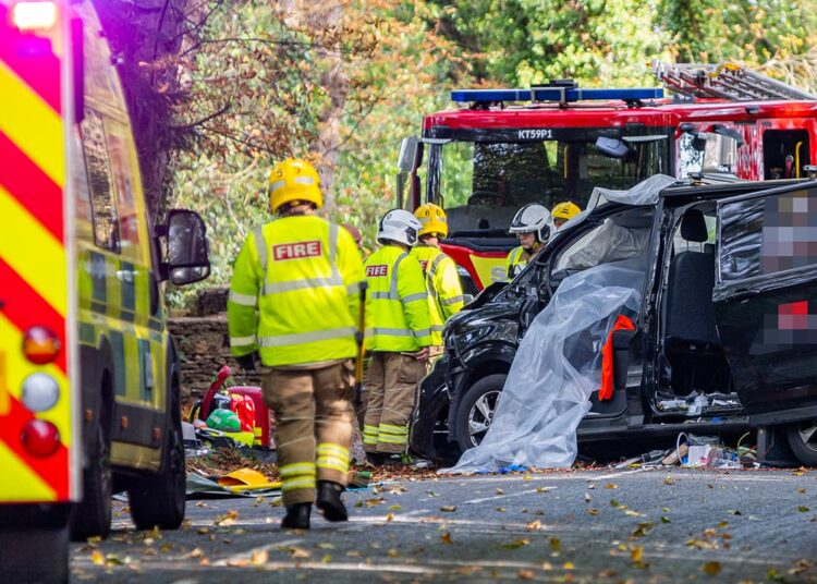 Van driver seriously injured after tree crash outside Wiltshire hotel