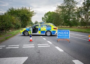Elderly man dies after crashing into field off A350 near Lacock