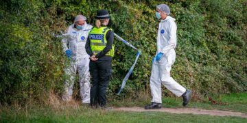 Major investigation after man’s body discovered in Wiltshire woods