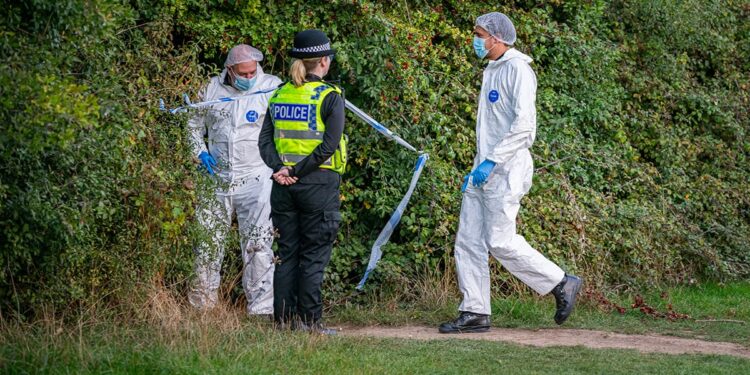 Major investigation after man’s body discovered in Wiltshire woods
