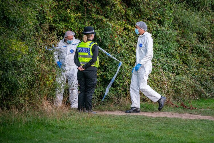Major investigation after man’s body discovered in Wiltshire woods