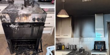 Firefighters bravely rescue kitten from house blaze in Warminster