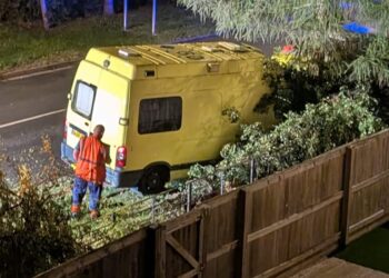 Driver injured after crashing yellow van into tree on Swindon route