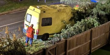 Driver injured after crashing yellow van into tree on Swindon route