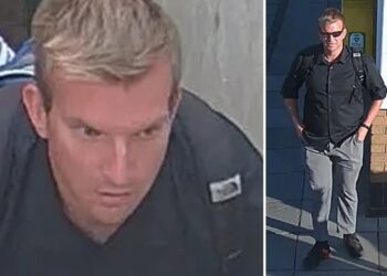 Alleged train flasher wanted by police after incidents in Wiltshire