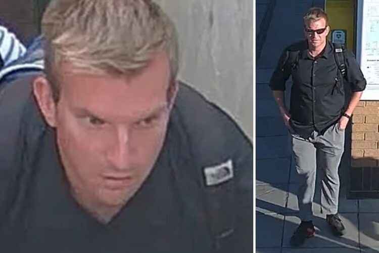 Alleged train flasher wanted by police after incidents in Wiltshire