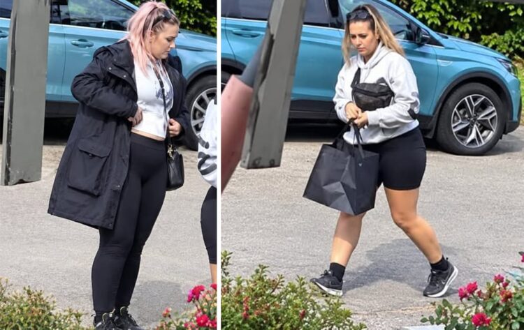 Police hunt women after vacuum cleaner stolen in Swindon burglary