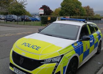 Police in Salisbury schools amid suspected child abduction attempts