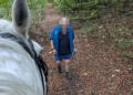 Horse rider narrowly avoids fall after dog chase in Wiltshire woods