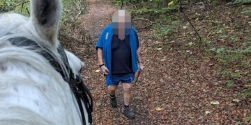 Horse rider narrowly avoids fall after dog chase in Wiltshire woods