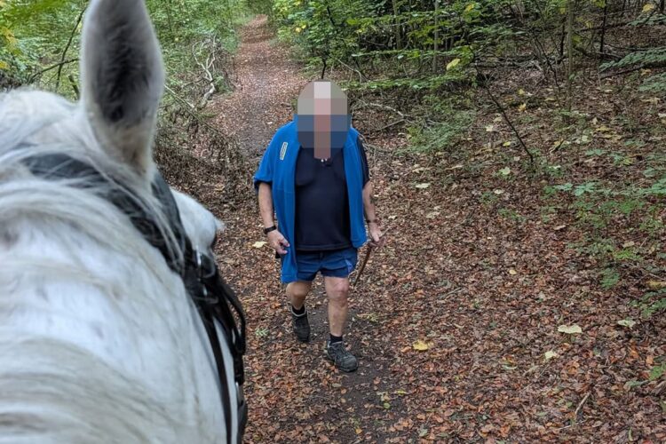 Horse rider narrowly avoids fall after dog chase in Wiltshire woods