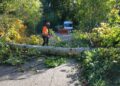 Swindon Council crews battle fallen trees amid Storm Boelo