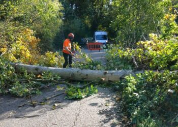 Swindon Council crews battle fallen trees amid Storm Boelo