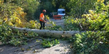 Swindon Council crews battle fallen trees amid Storm Boelo