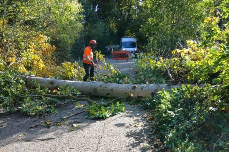 Swindon Council crews battle fallen trees amid Storm Boelo