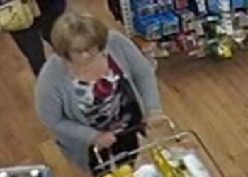Woman sought after pensioner’s phone stolen at Chippenham shop