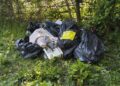 Swindon resident fined £600 after waste dumped near Lydiard Park