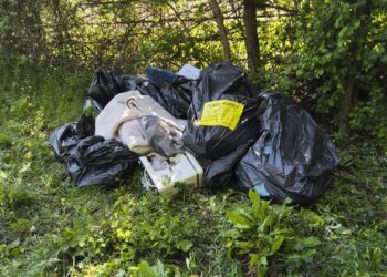 Swindon resident fined £600 after waste dumped near Lydiard Park