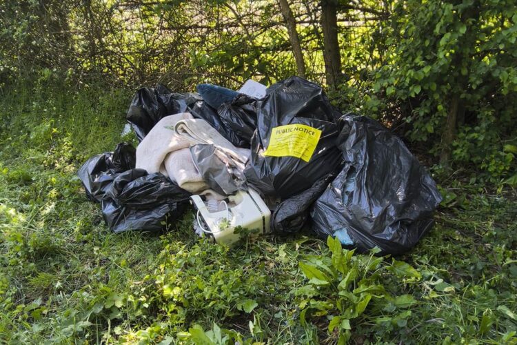 Swindon resident fined £600 after waste dumped near Lydiard Park
