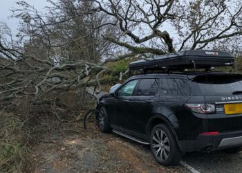 Road near Swindon blocked after huge tree falls on Land Rover