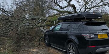 Road near Swindon blocked after huge tree falls on Land Rover