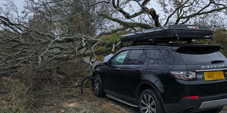 Road near Swindon blocked after huge tree falls on Land Rover