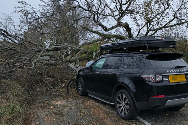 Road near Swindon blocked after huge tree falls on Land Rover
