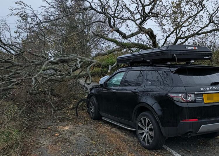 Road near Swindon blocked after huge tree falls on Land Rover