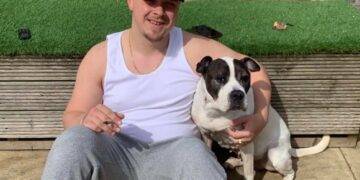 Swindon man sentenced after he’s caught on CCTV beating puppy