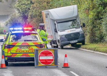 Van driver arrested as woman fights for life following A350 crash
