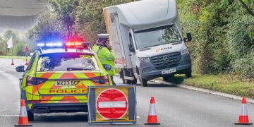 Van driver arrested as woman fights for life following A350 crash
