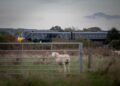 Update as person dies after being struck by train near level crossing