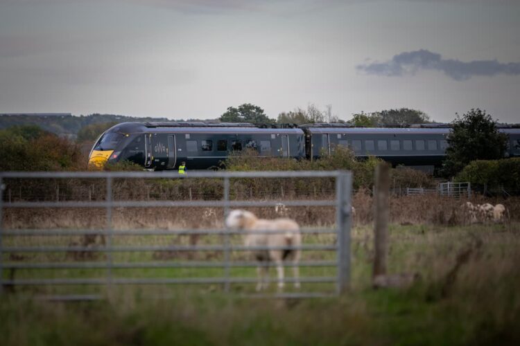 Update as person dies after being struck by train near level crossing